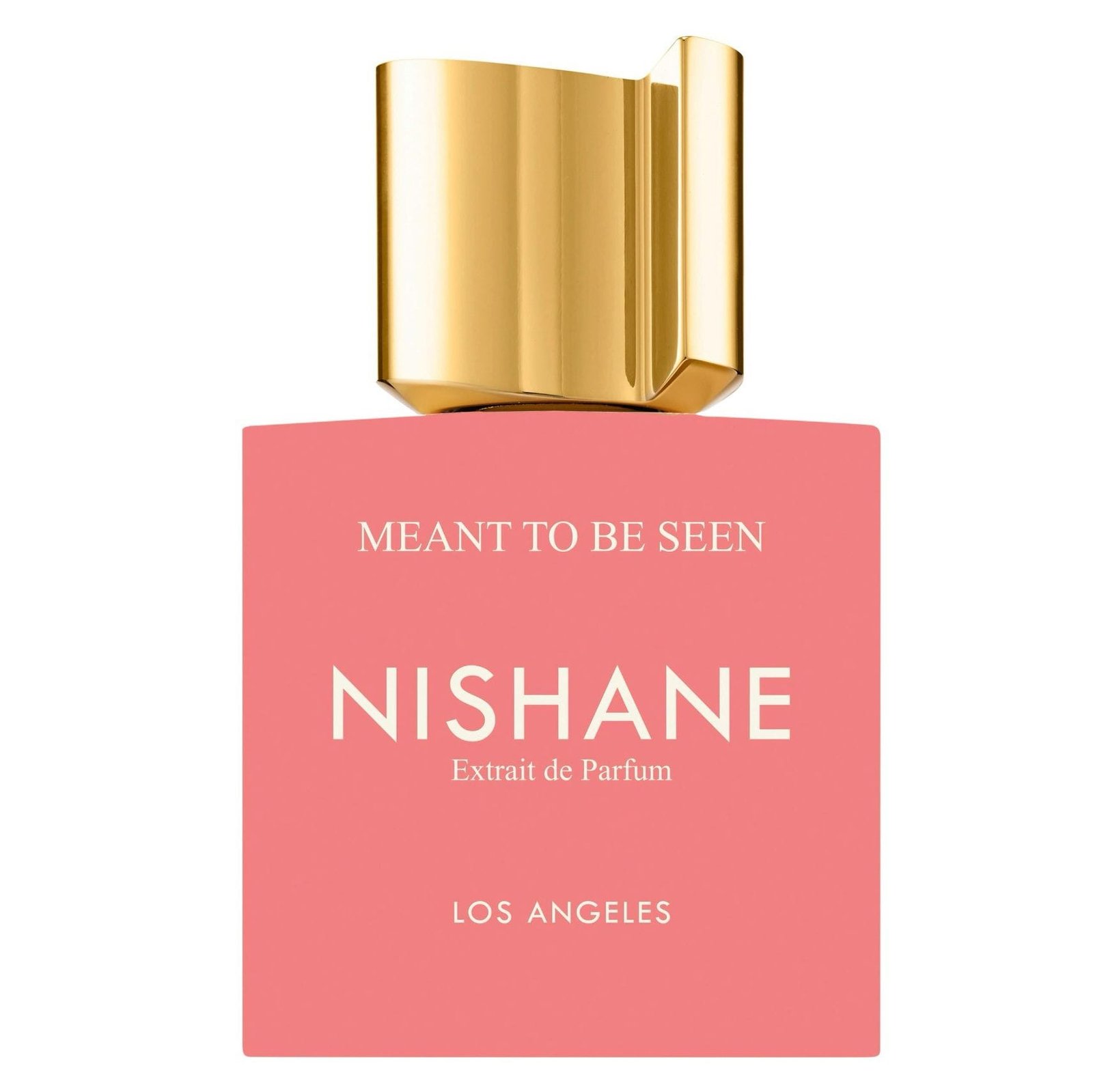 NISHANE MEANT TO BE SEEN EXTRAIT DE PARUM 100ML