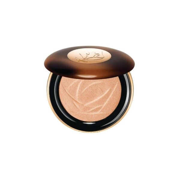 Teint Idole Ce Skin Transforming Highlighter