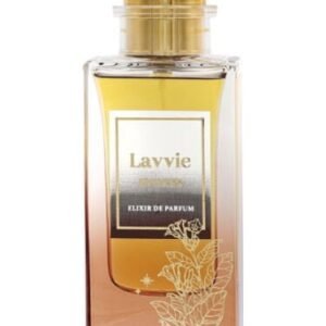 LAVVIE EVOKES
