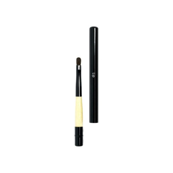 Lip Retractable Brush