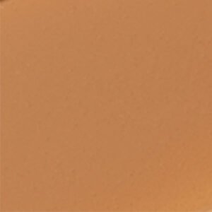 Studio Radiance Serum-Powered Skin Tint Stick