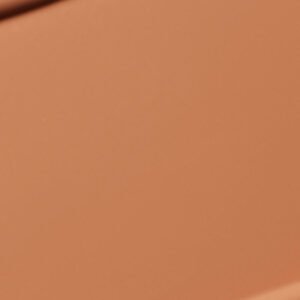 Studio Radiance Serum-Powered Skin Tint Stick