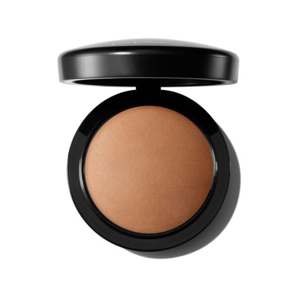Powder Mineralize SkinFinish Natural