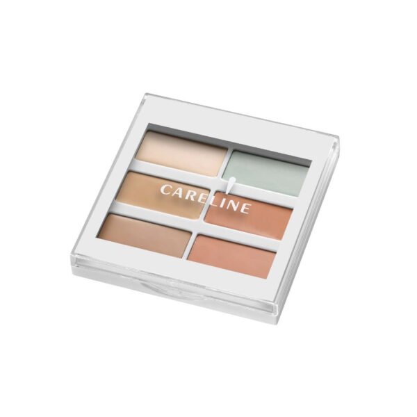 Conceal & Correct