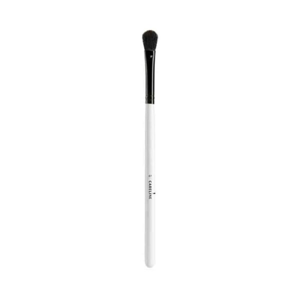 Makeup Brush