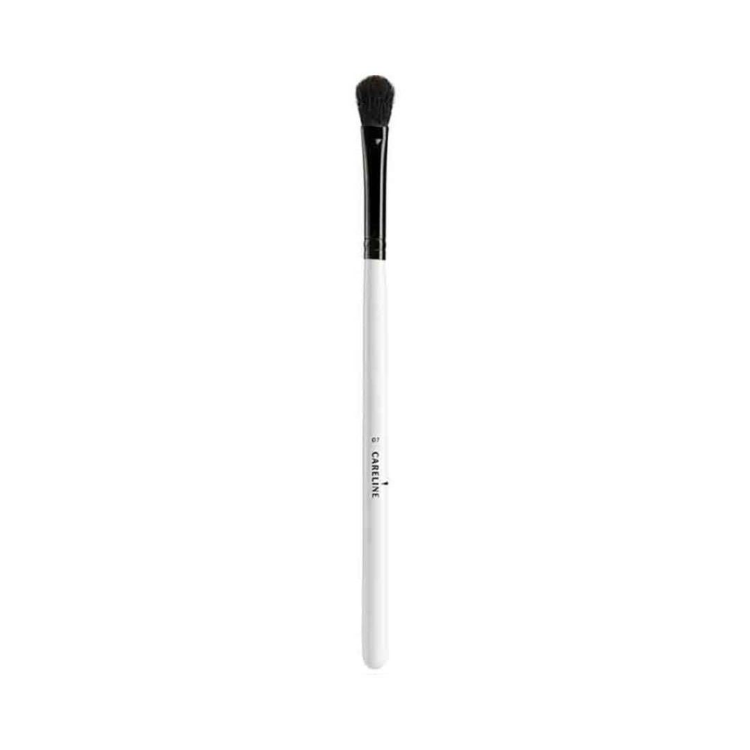 Makeup Brush